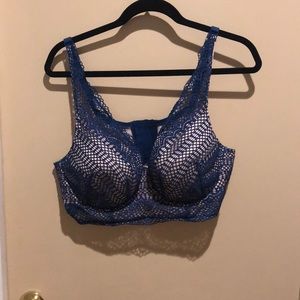 Blue lace bra